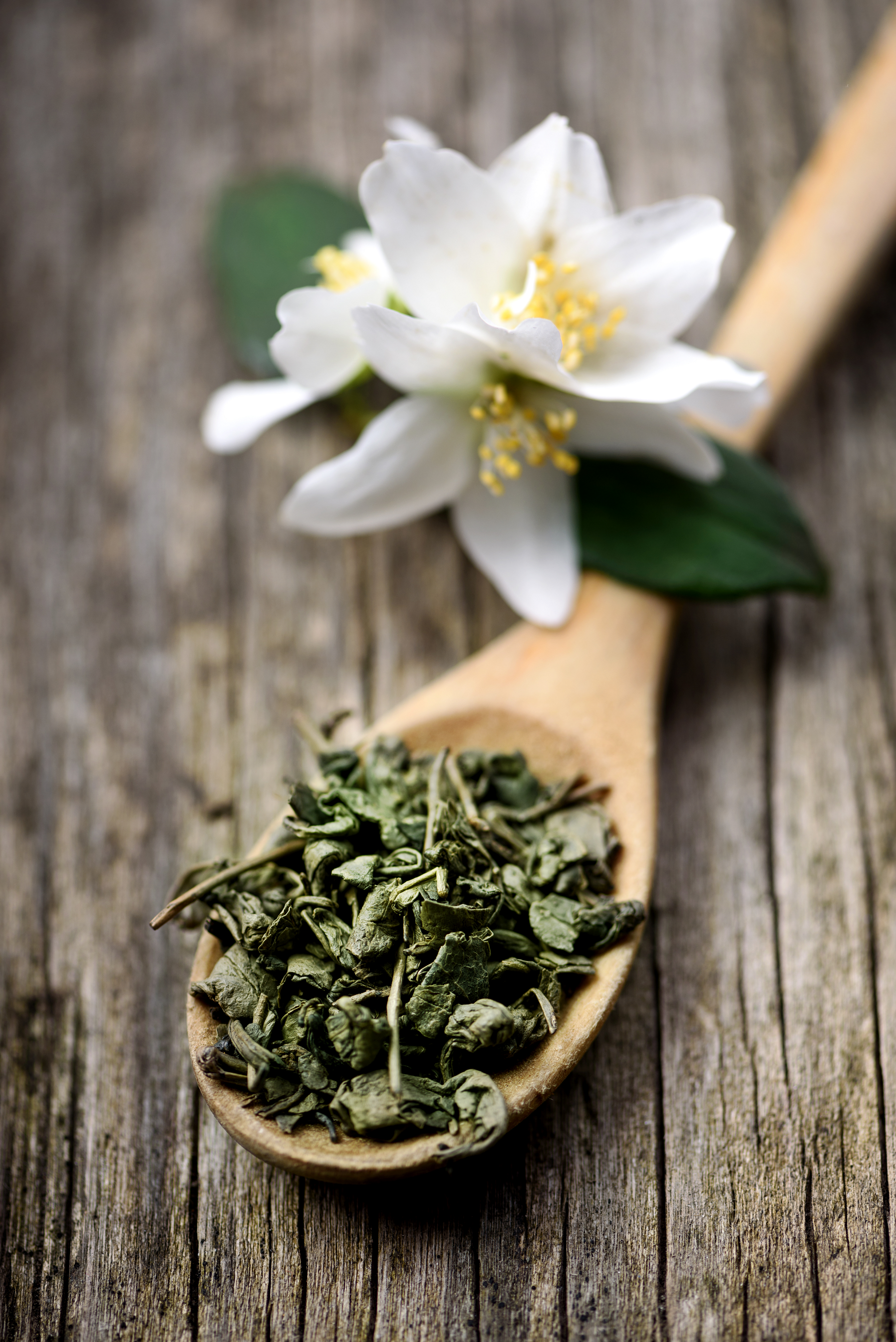 Herbata jaśminowa – wyjątkowy smak w Twojej filiżance