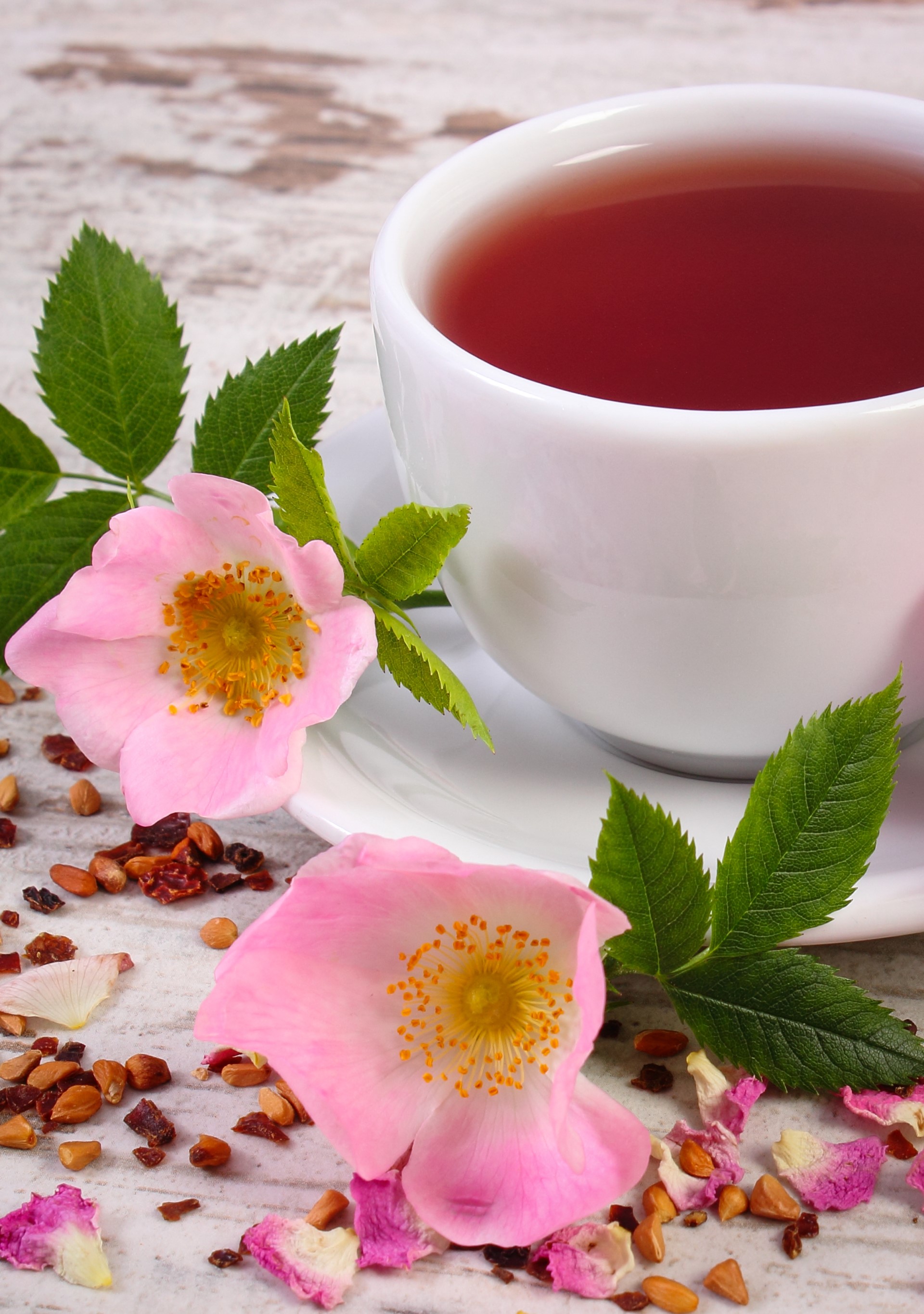 Herbata z dzikiej róży – niedoceniana skarbnica zdrowia
